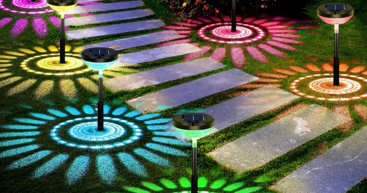 Bright Solar Pathway Lights: Top Features & Benefits