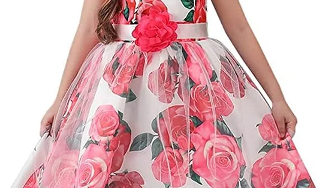 Girl Dress Kids Ruffles Lace Party Review