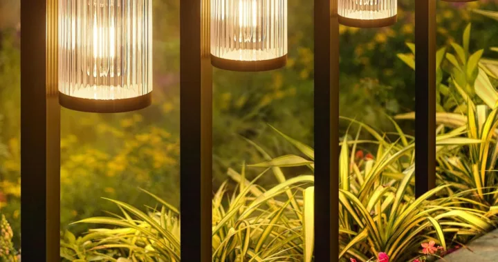 Brighten Your Yard with Solar Pathway Lights